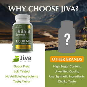 Gummies Shilajit Jiva Botanicals, couleur framboise et pastèque