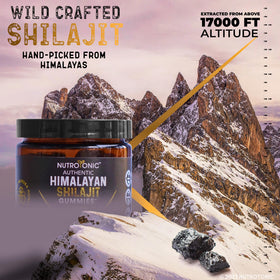 Gummies Shilajit NutroTonic avec fruits et ingrédients naturels