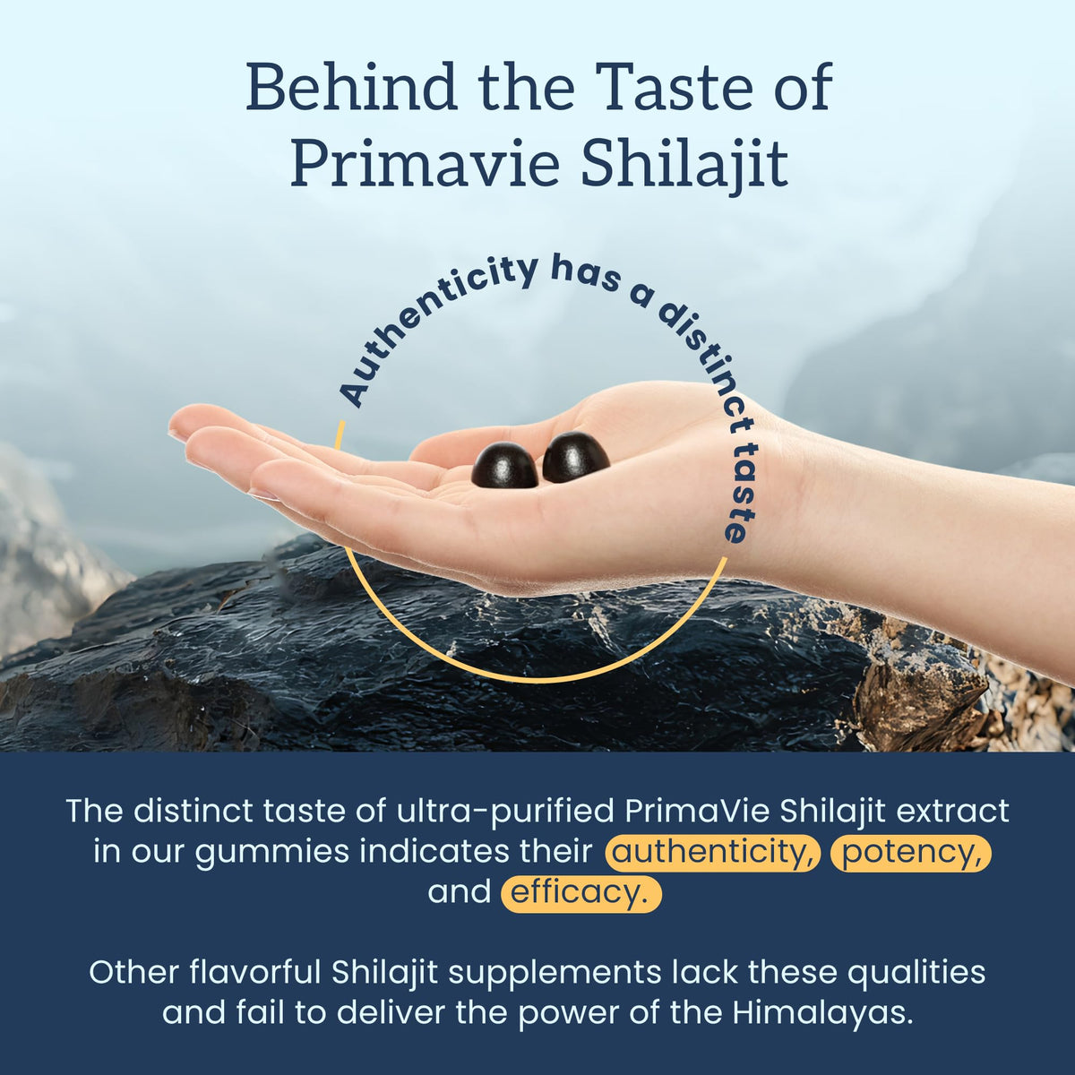Gummies Shilajit Organifi à côté d'un verre d'eau