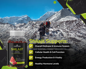 Gummies Shilajit Pur Himalayen avec étiquette visible