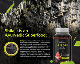 Gummies Shilajit Pur Himalayen en arrière-plan naturel
