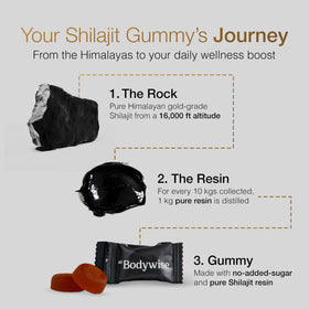 Gummies Shilajit Pur Himalayen sur une table