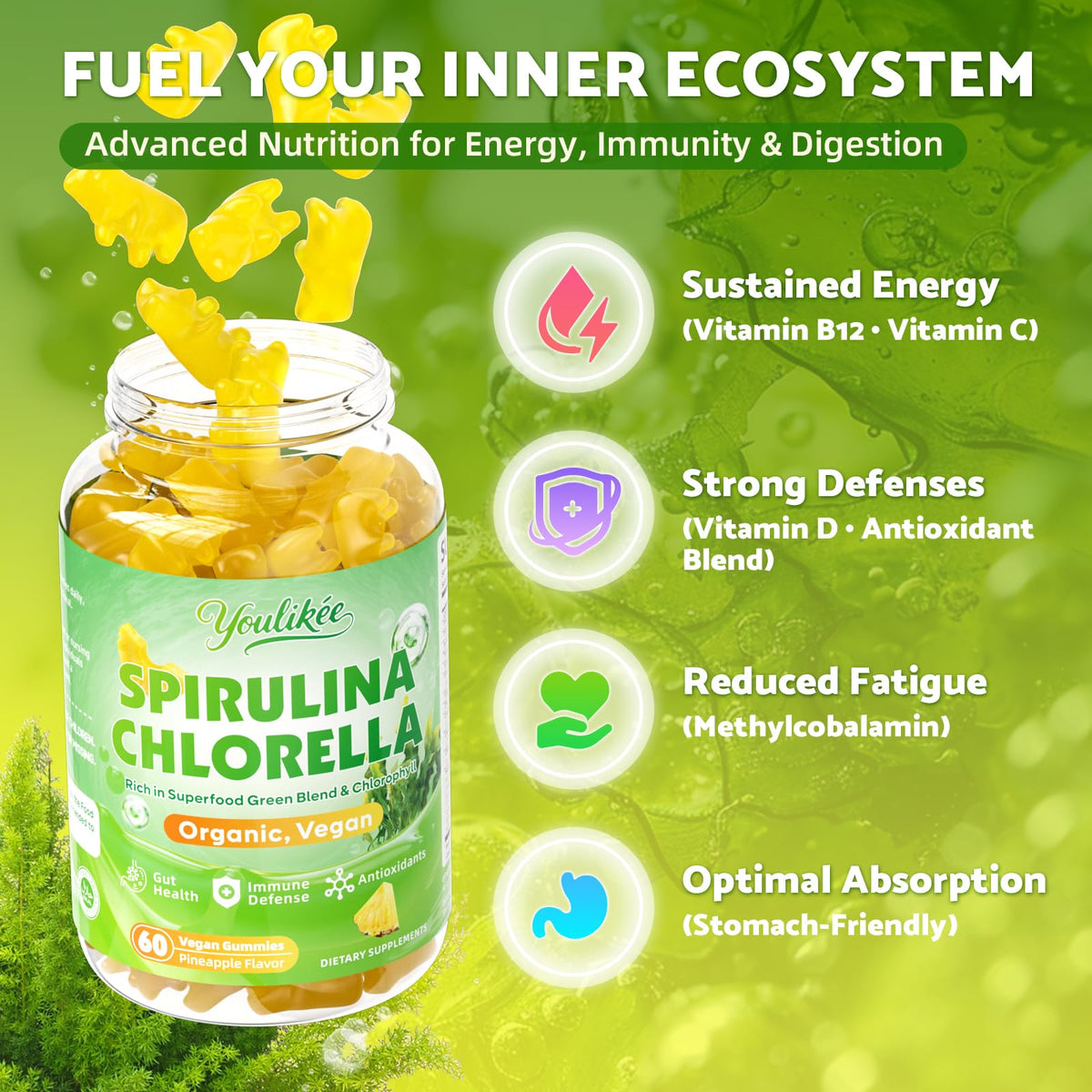 Gummies Spiruline Chlorelle Youlikee en gros plan