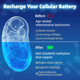 Gummies SUGAWITA Methylene Blue 10mg avec L-Théanine