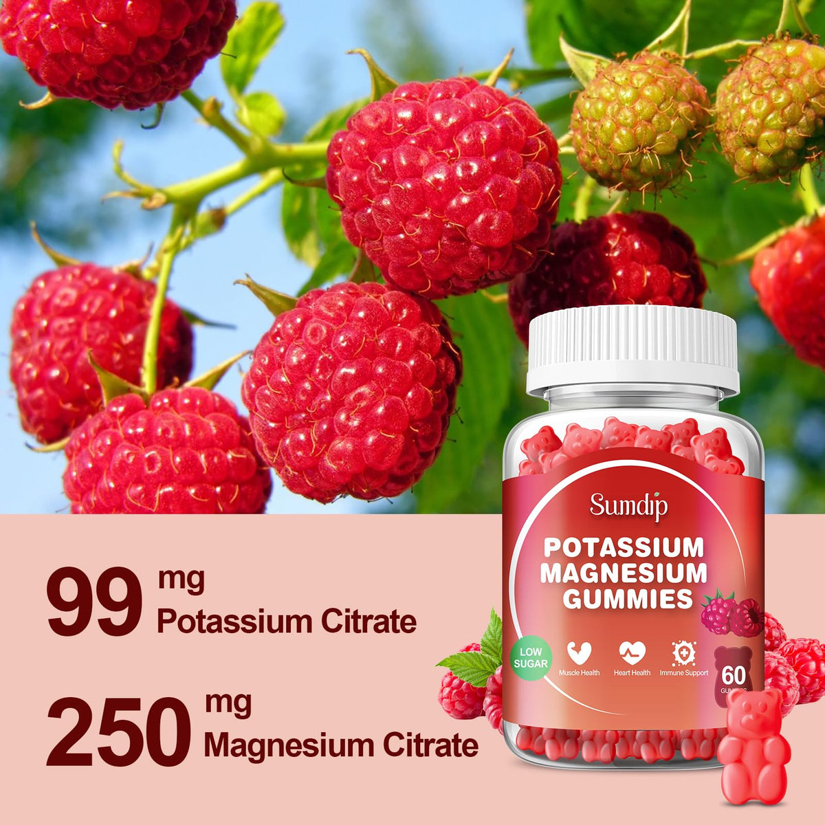 Gummies SumDIP au magnésium et potassium, ingrédients sur l'emballage