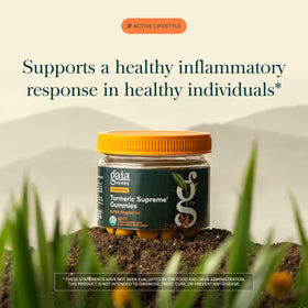 Gummies Suprêmes de Curcuma Gaia Herbs, détail des gummies