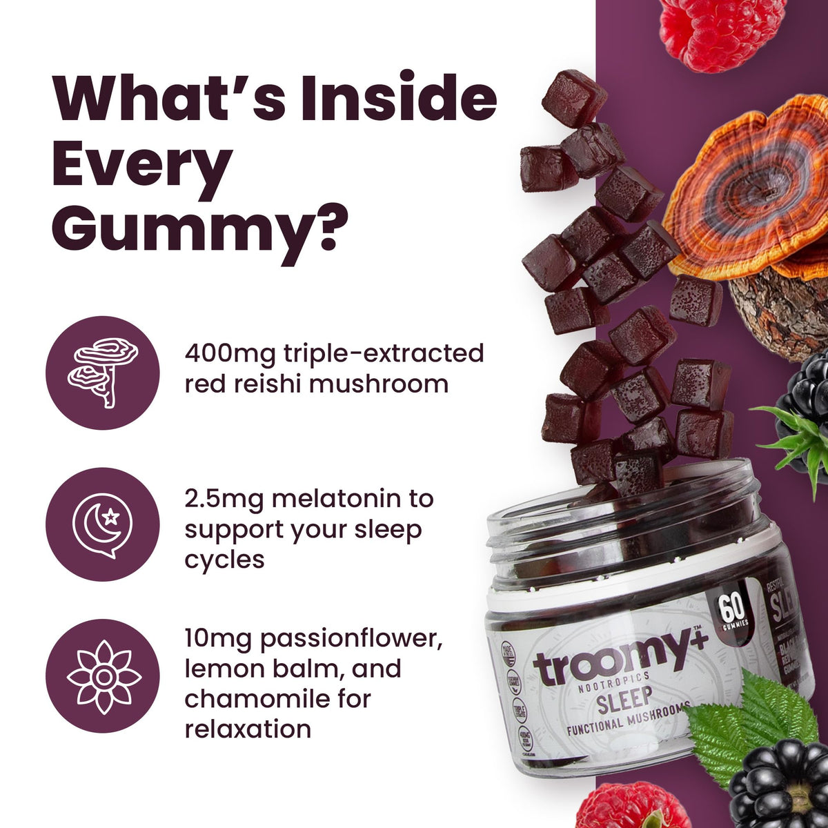 Gummies Troomy Sommeil Melatonin framboise noire