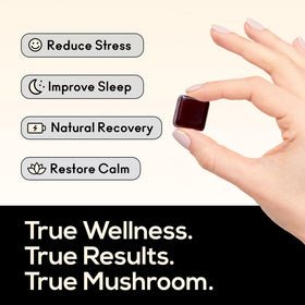 Gummies TrueMushroom à la mûre, côté du pot