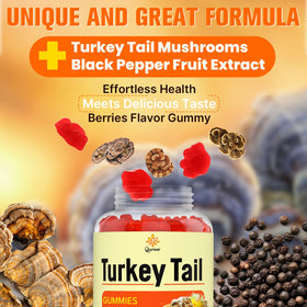 Gummies Turkey Tail de Qazwer dans une main