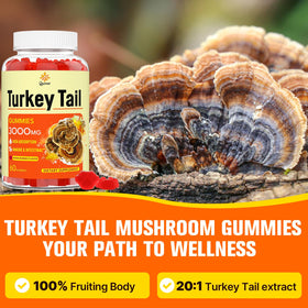 Gummies Turkey Tail de Qazwer sur une table avec d'autres compléments