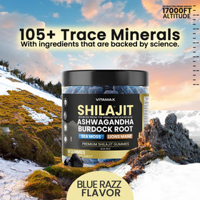 Gummies Vitamax Shilajit avec un fond naturel et des ingrédients