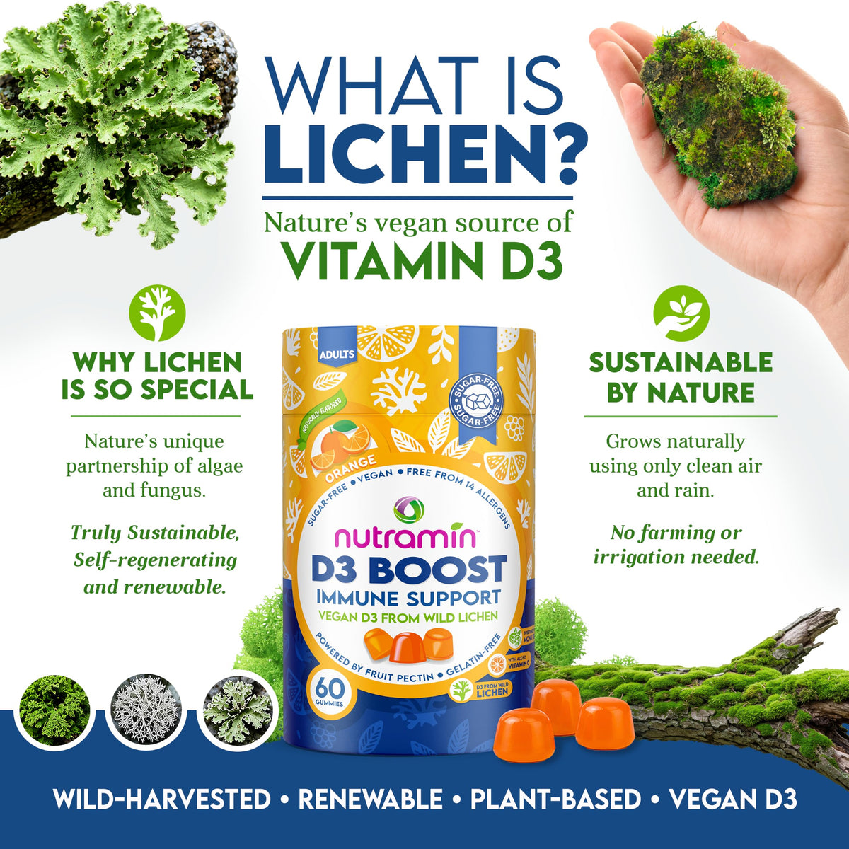 Gummies Vitamine D3 Nutracelle 2000 IU orange en gros plan
