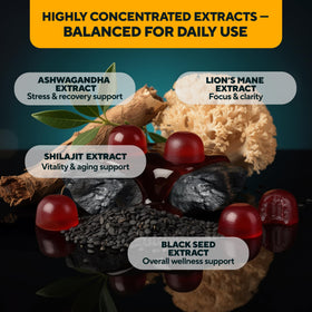 Gummies VitaUp Shilajit en gros plan sur une cuillère