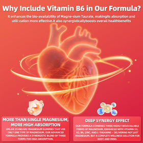 Gummies Wllbdloig avec Vitamine B6 et Zinc
