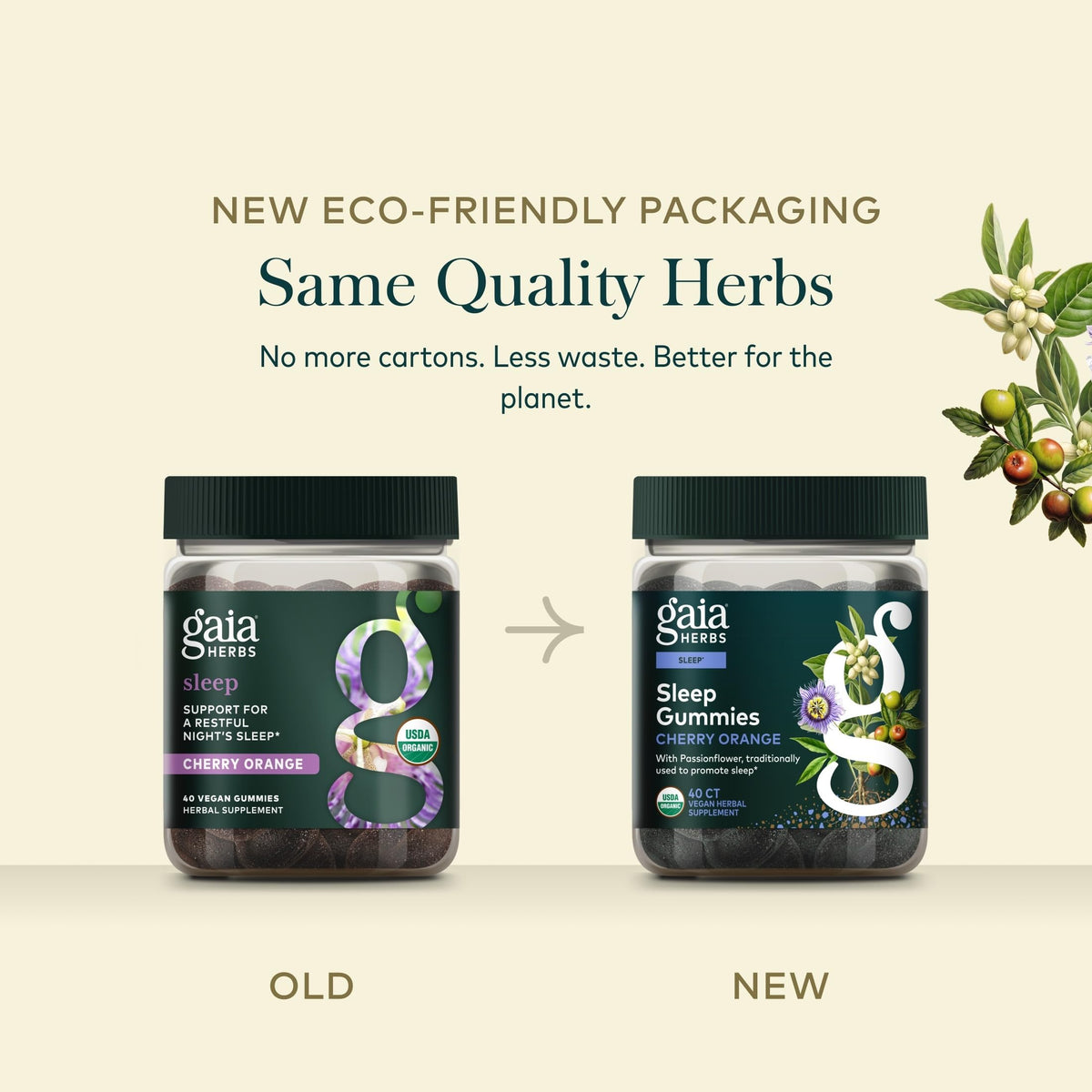 Gummy Gaia Herbs, détail de la texture des gummies