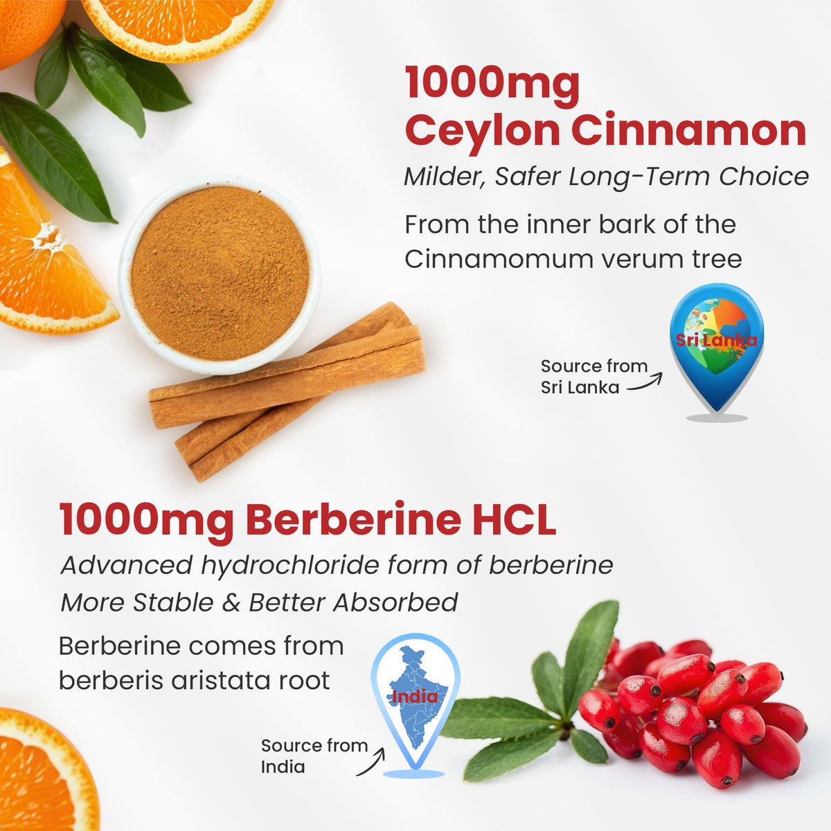 Gummy NEVISS Berberine à la Cannelle de Ceylan près de fruits frais