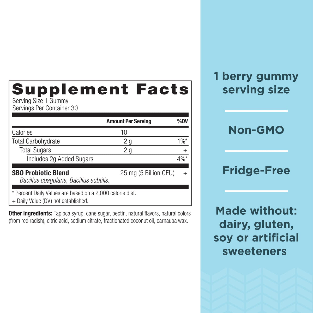 Gummy probiotique pour enfant Ancient Nutrition, saveur baie, vue de près