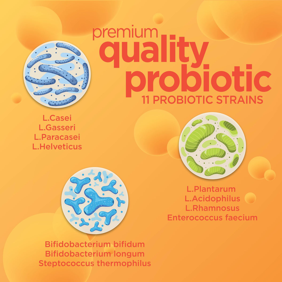 Gut Response Probiotique à Mâcher 30 comprimés orange côté