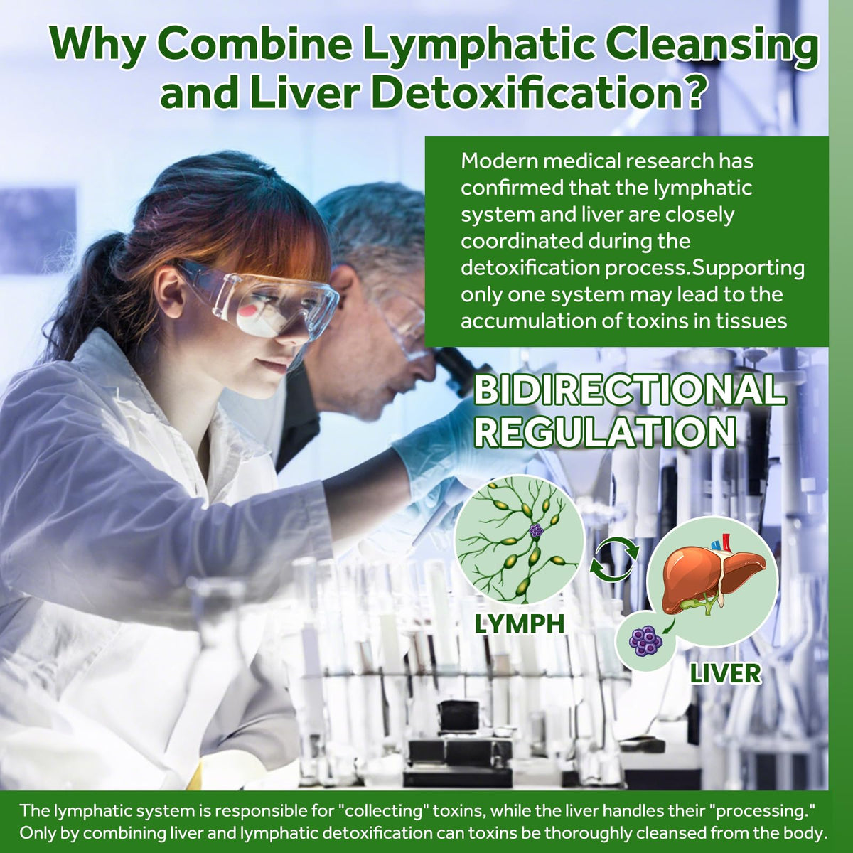 GZ HAOYUAN Lymphatic Drainage ingrédients naturels