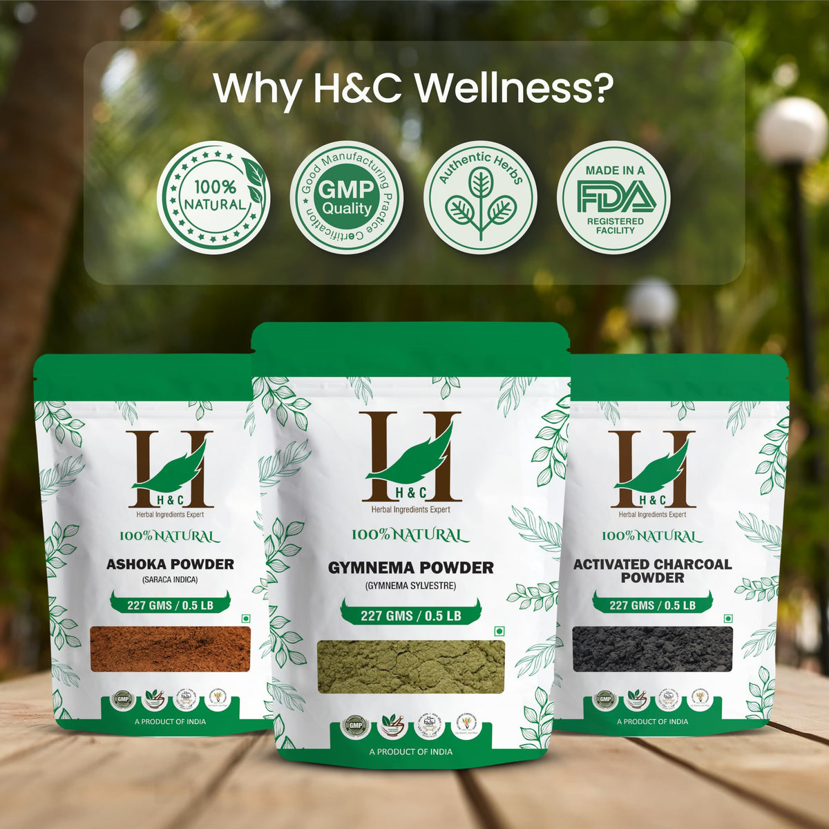 H&C Poudre de Feuilles de Gymnema 250g vue de dos