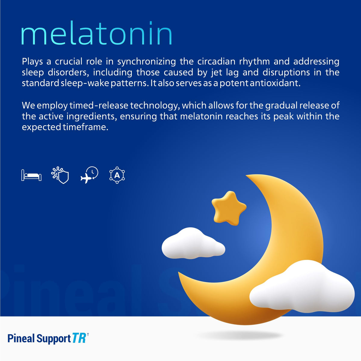 H6 healthSIX Mélatonine 1,5 mg, comprimés dans un flacon