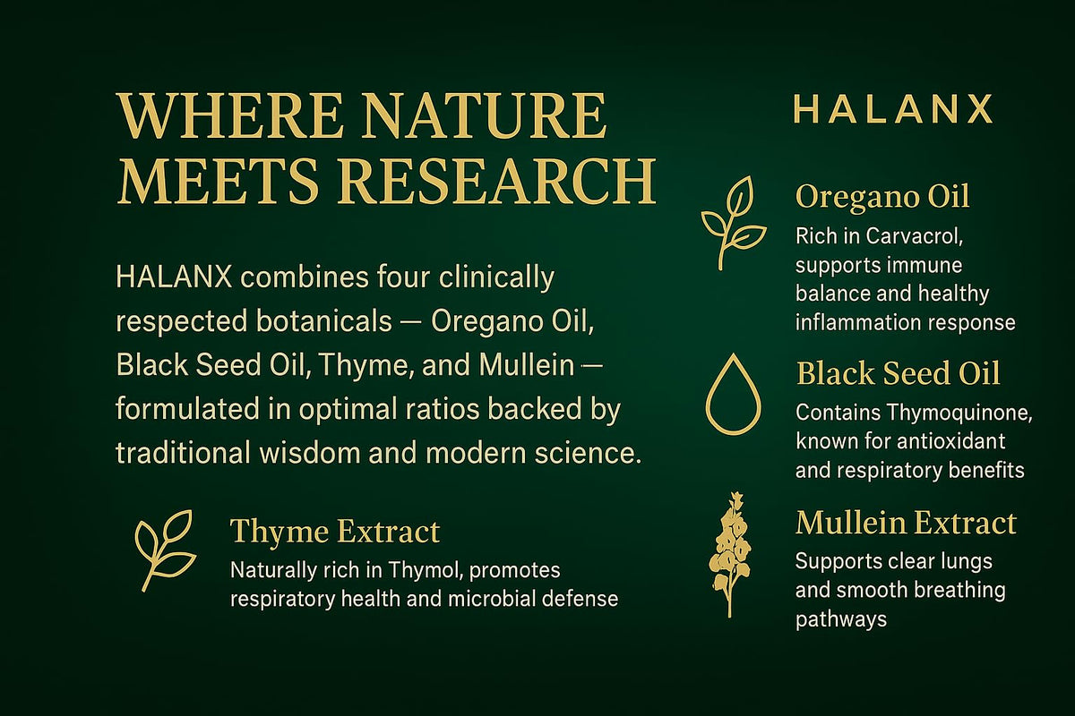 Halanx Huile d'Origan Gélules avec des herbes en arrière-plan