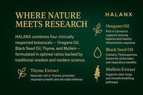 Halanx Huile d'Origan Gélules avec des herbes en arrière-plan
