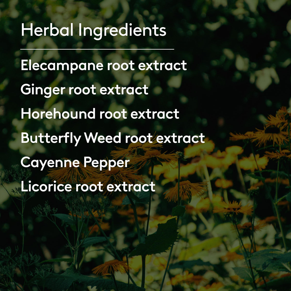 Harker Herbals tonic soutien respiratoire sur une table en bois