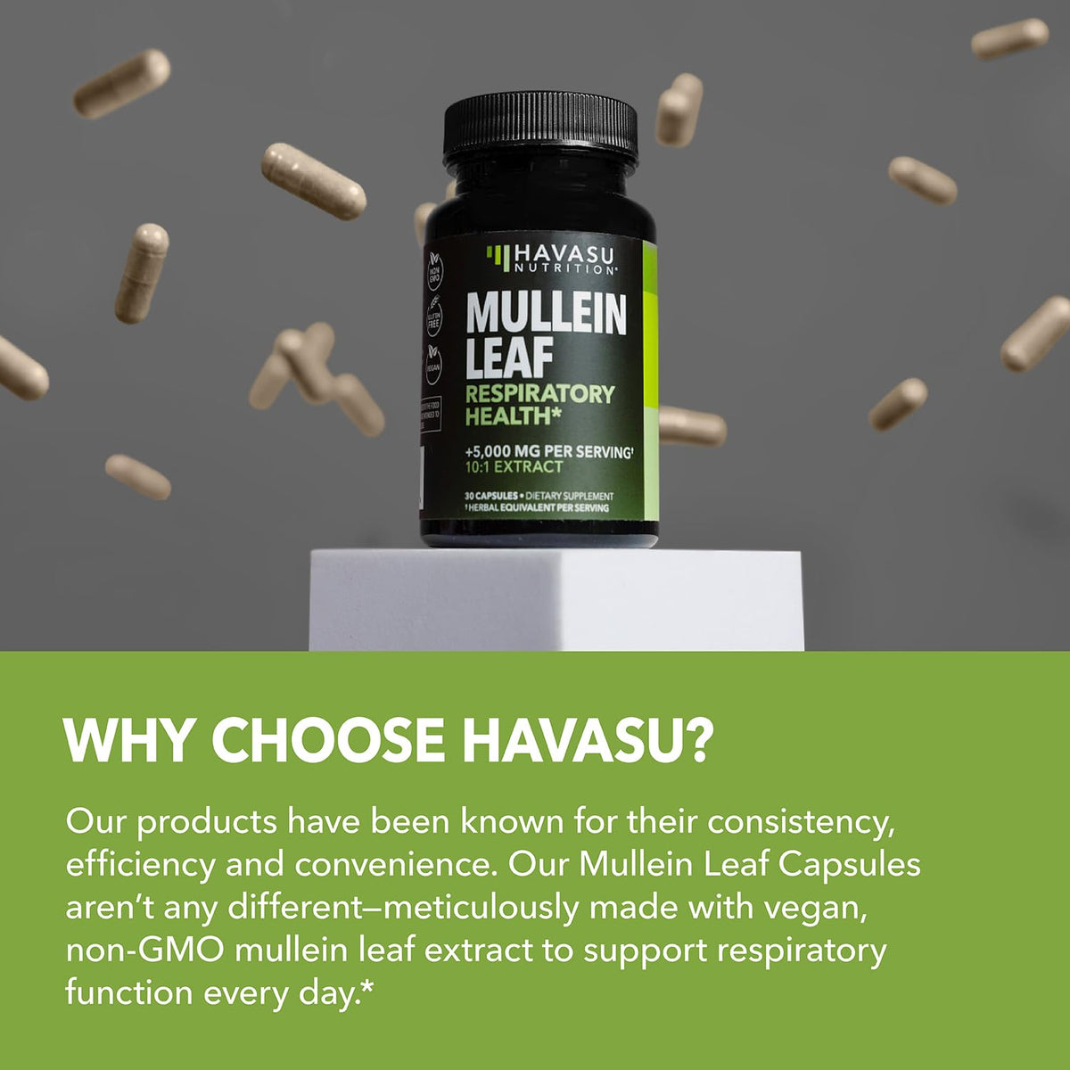 HAVASU NUTRITION Extrait de Molène 500mg arrière de la boîte