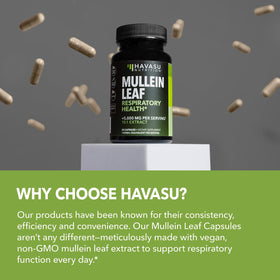 HAVASU NUTRITION Extrait de Molène 500mg arrière de la boîte