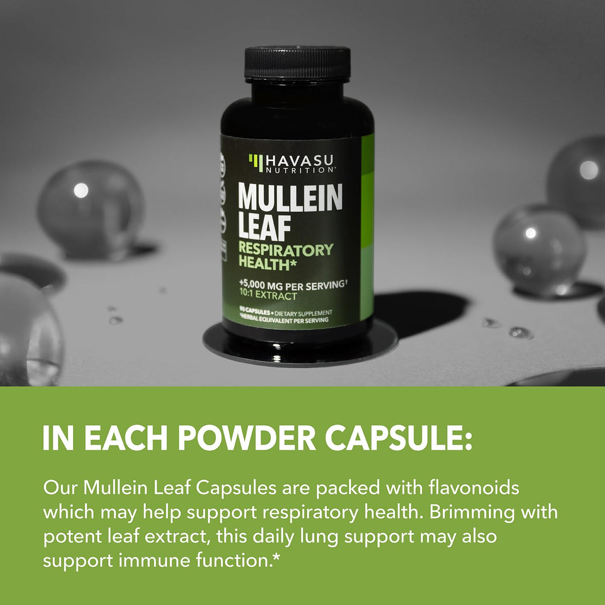 HAVASU NUTRITION Extrait de Molène 500mg étiquette des ingrédients