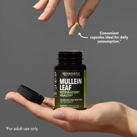 HAVASU NUTRITION Extrait de Molène 500mg posée sur une table
