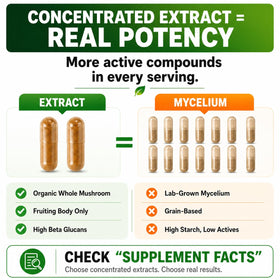 HCL HERBAL CODE LABS Capsules de champignons sur une table en bois