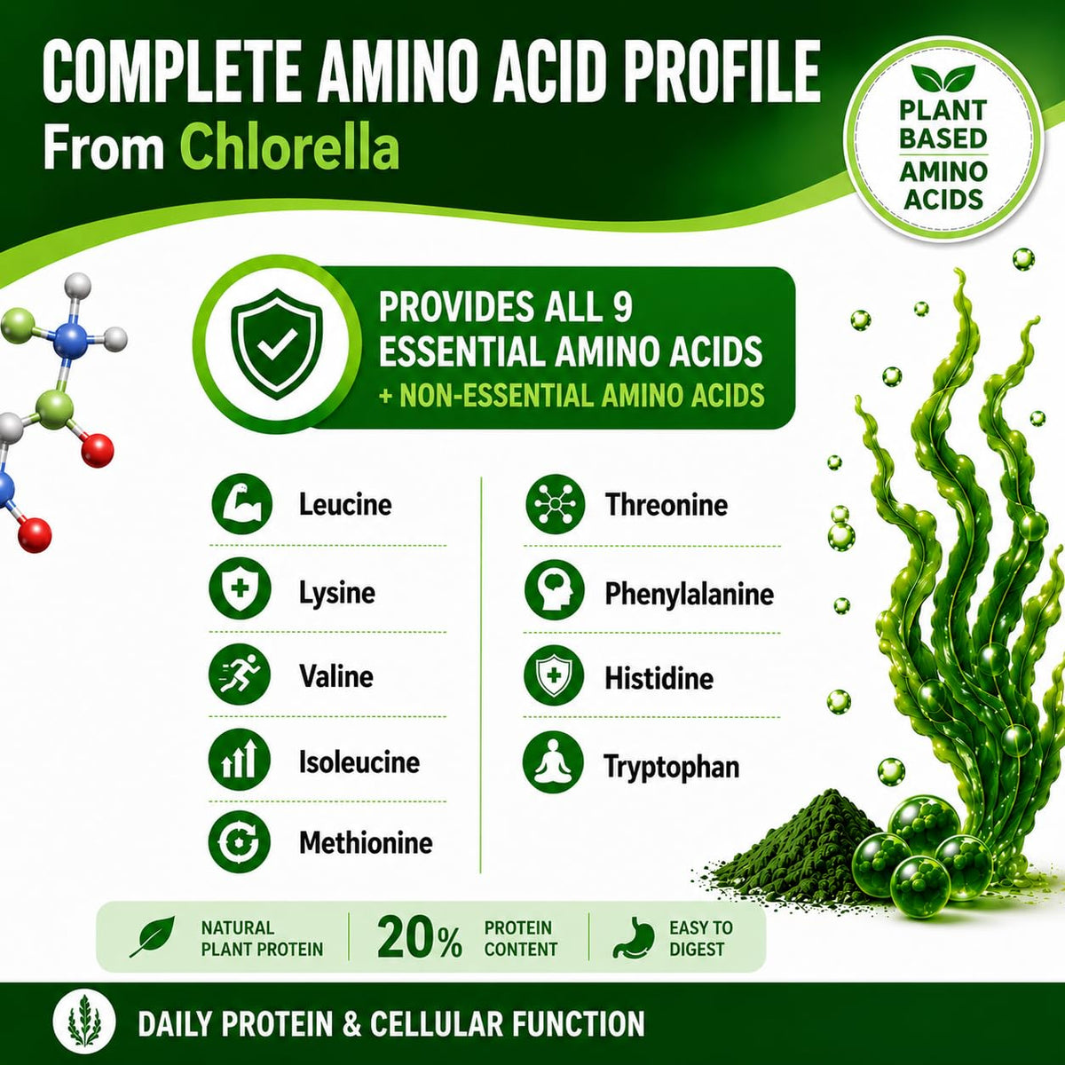 HCL HERBAL CODE LABS Chlorella Capsules close-up