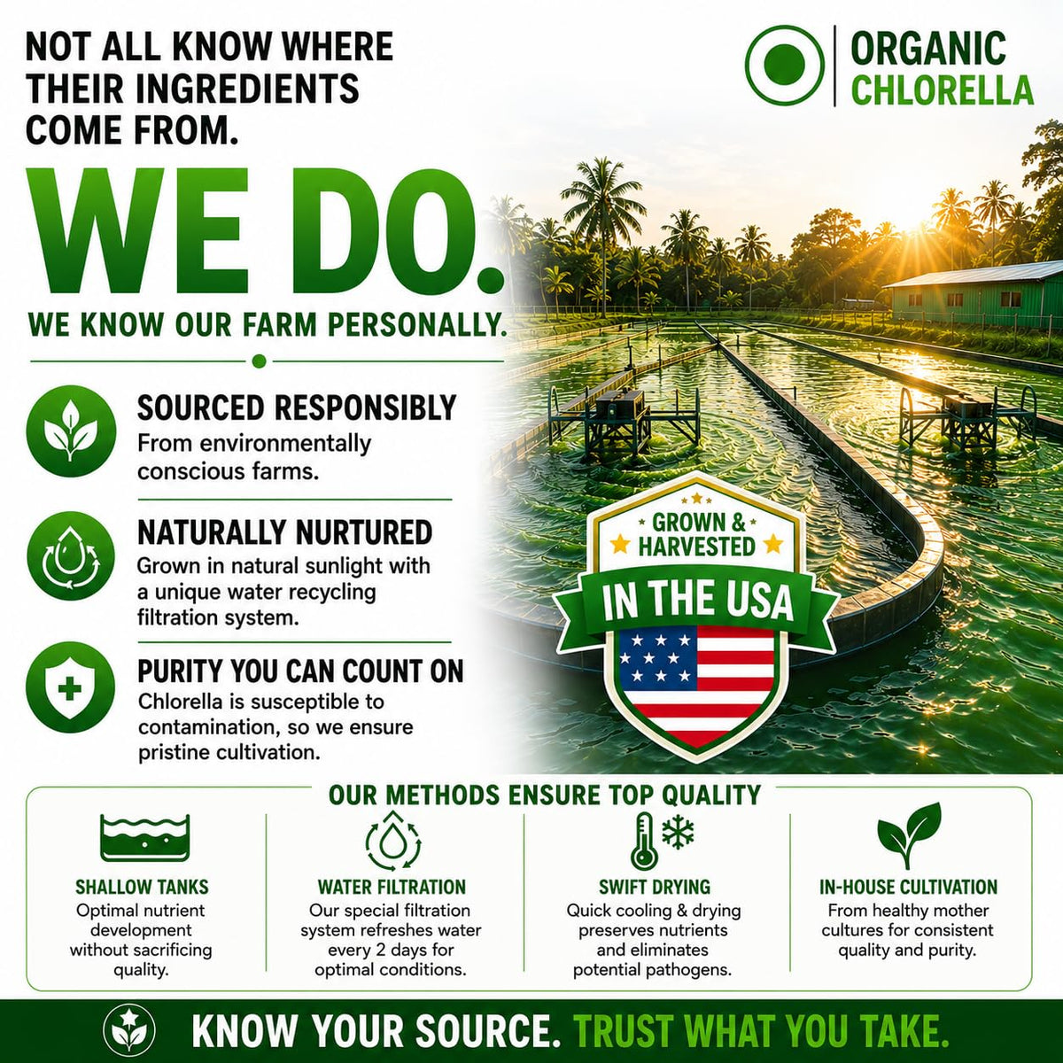 HCL HERBAL CODE LABS Chlorella Capsules in lifestyle setting