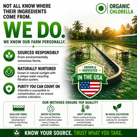 HCL HERBAL CODE LABS Chlorella Capsules in lifestyle setting
