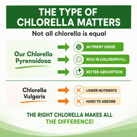 HCL HERBAL CODE LABS Chlorella Capsules packaging