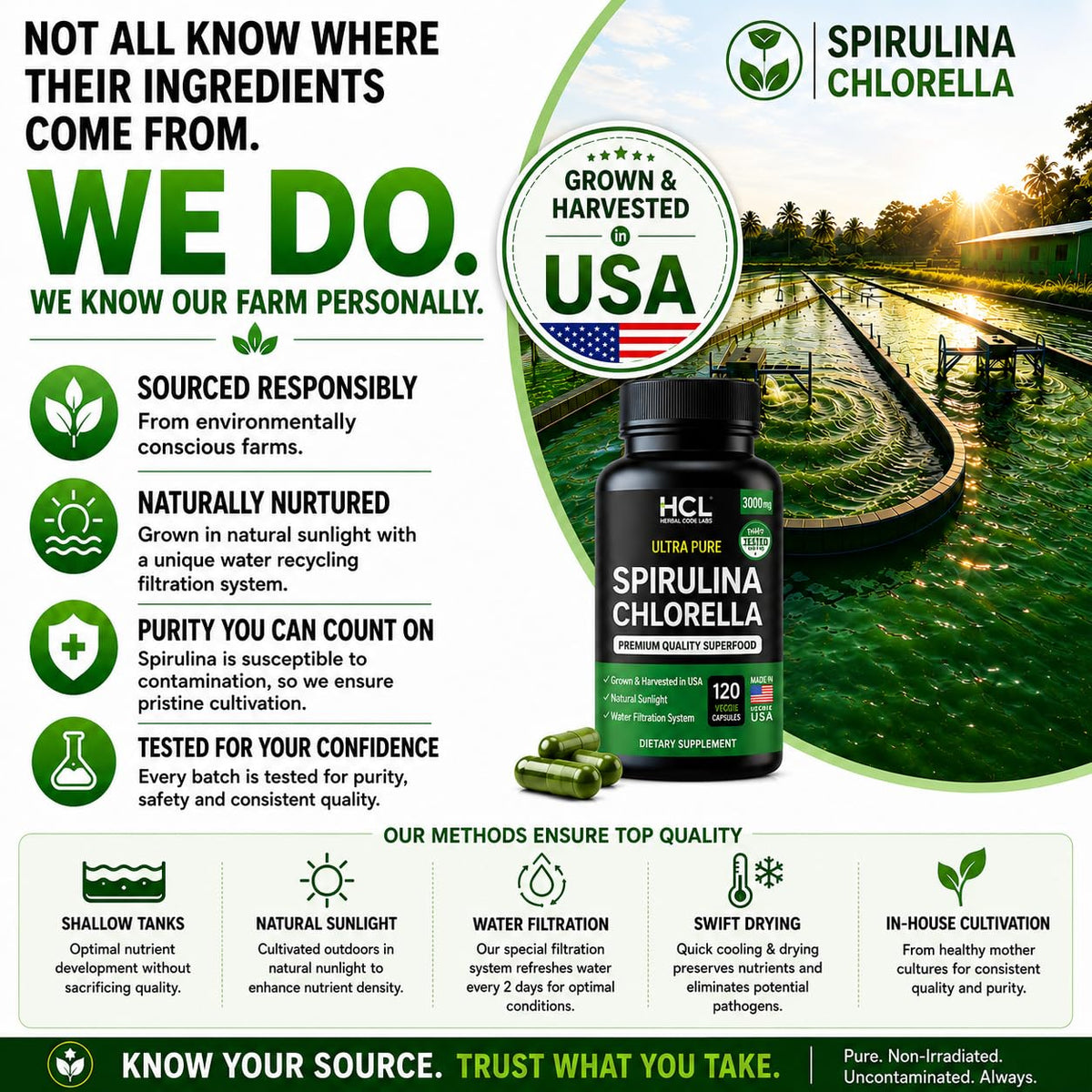 HCL HERBAL CODE LABS Chlorella Spirulina capsules on a wooden table