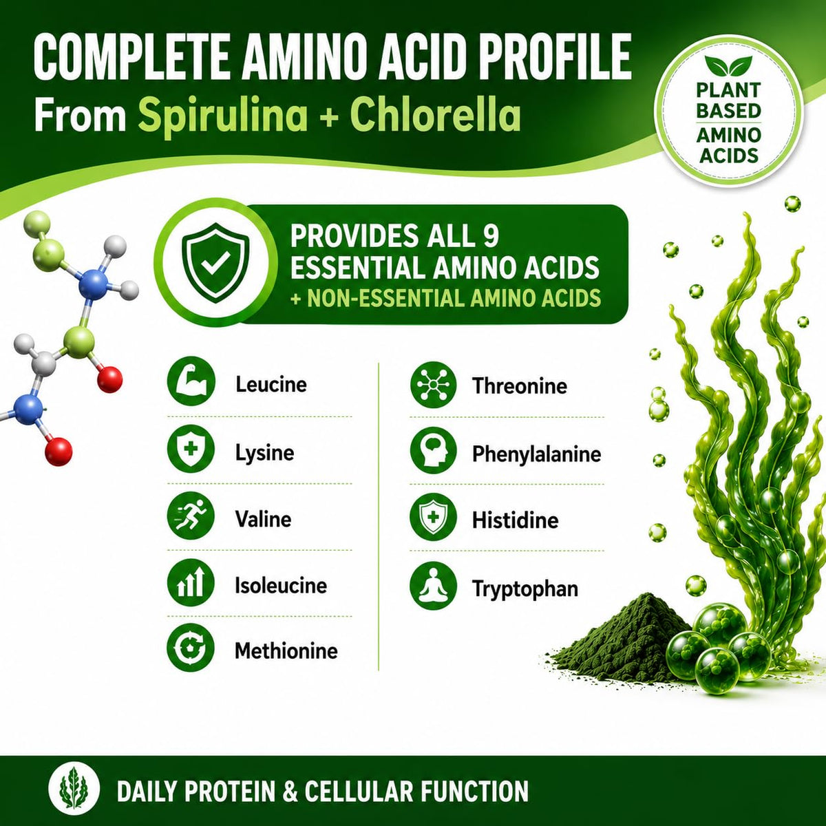 HCL HERBAL CODE LABS Chlorella Spirulina capsules with green leaves