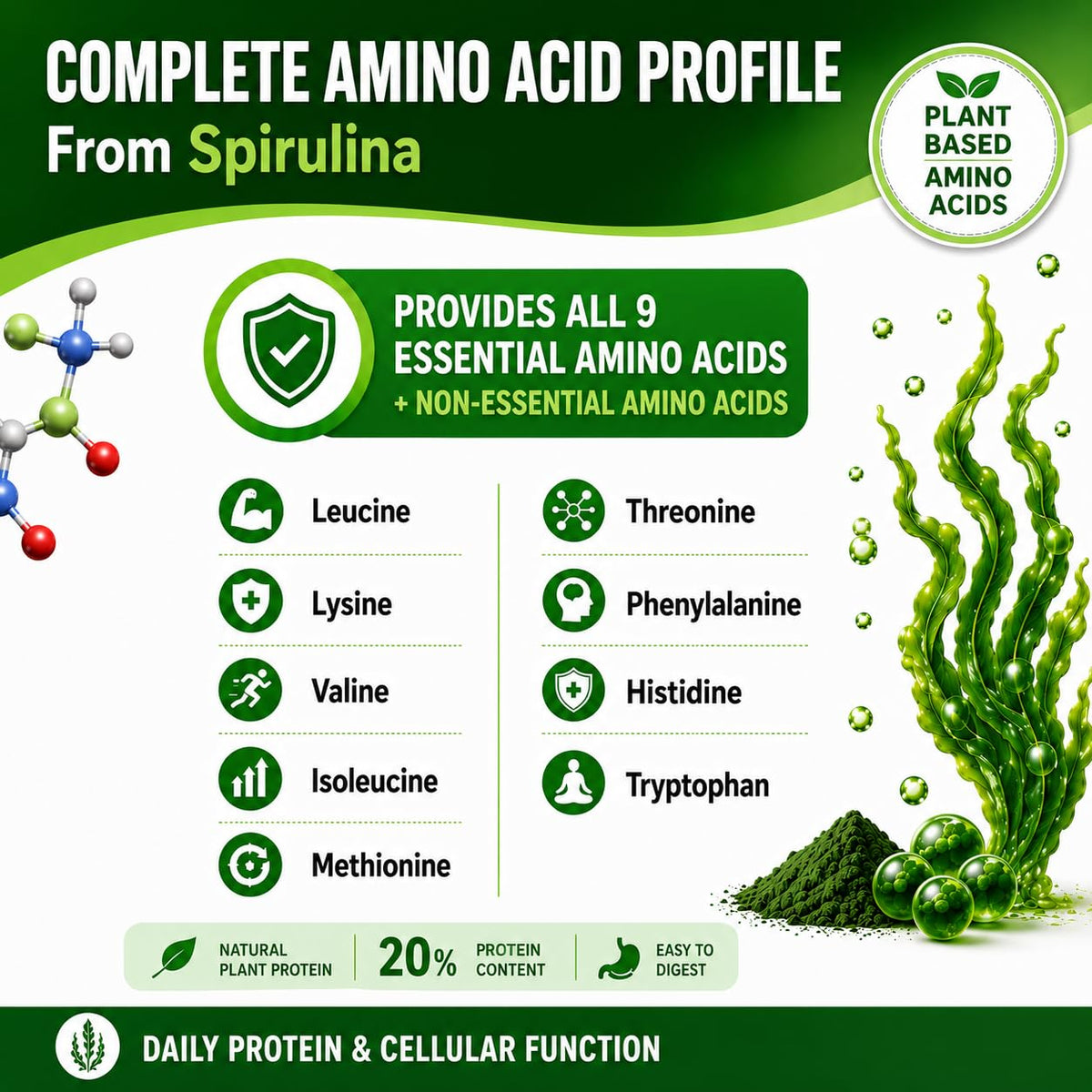 HCL HERBAL CODE LABS Spiruline en gélules 3000 mg aspect des gélules
