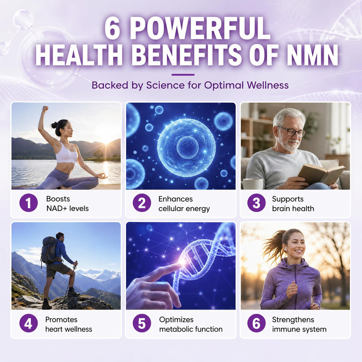 HEALGUT Complément NMN 1000mg étiquette avec spécifications