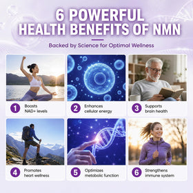 HEALGUT Complément NMN 1000mg étiquette avec spécifications