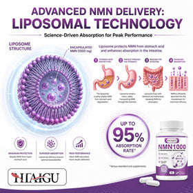 HEALGUT Complément NMN 1000mg vue latérale des capsules