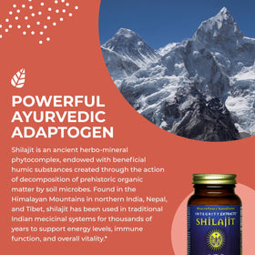 HEALTHFORCE SUPERFOODS Shilajit 120 VeganCaps avec étiquette