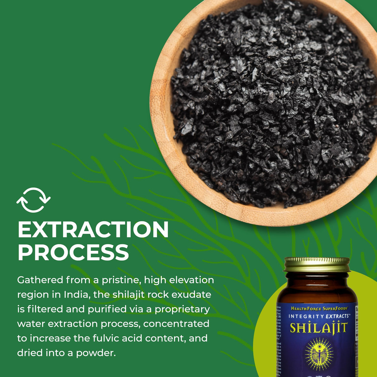 HEALTHFORCE SUPERFOODS Shilajit 120 VeganCaps en gros plan