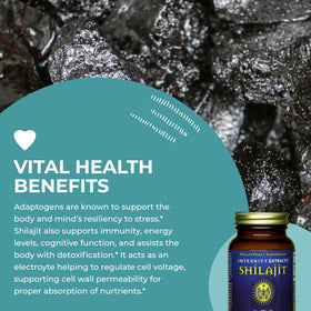 HEALTHFORCE SUPERFOODS Shilajit 120 VeganCaps sur une table
