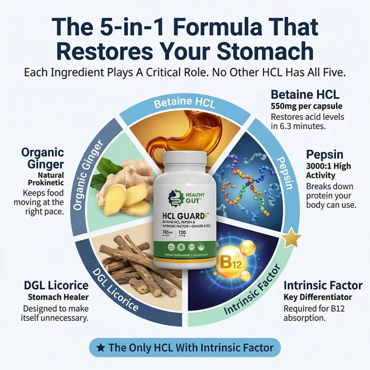 Healthy Gut HCL Guard utilisation quotidienne