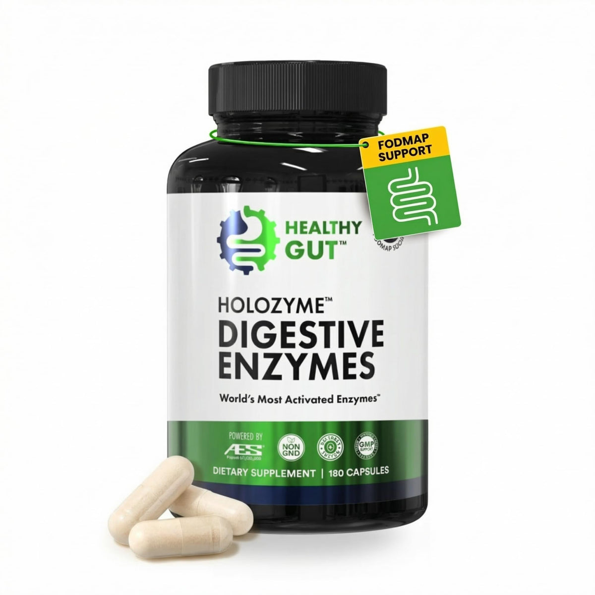 Healthy Gut HoloZyme complément alimentaire multi-enzymes 90 portions