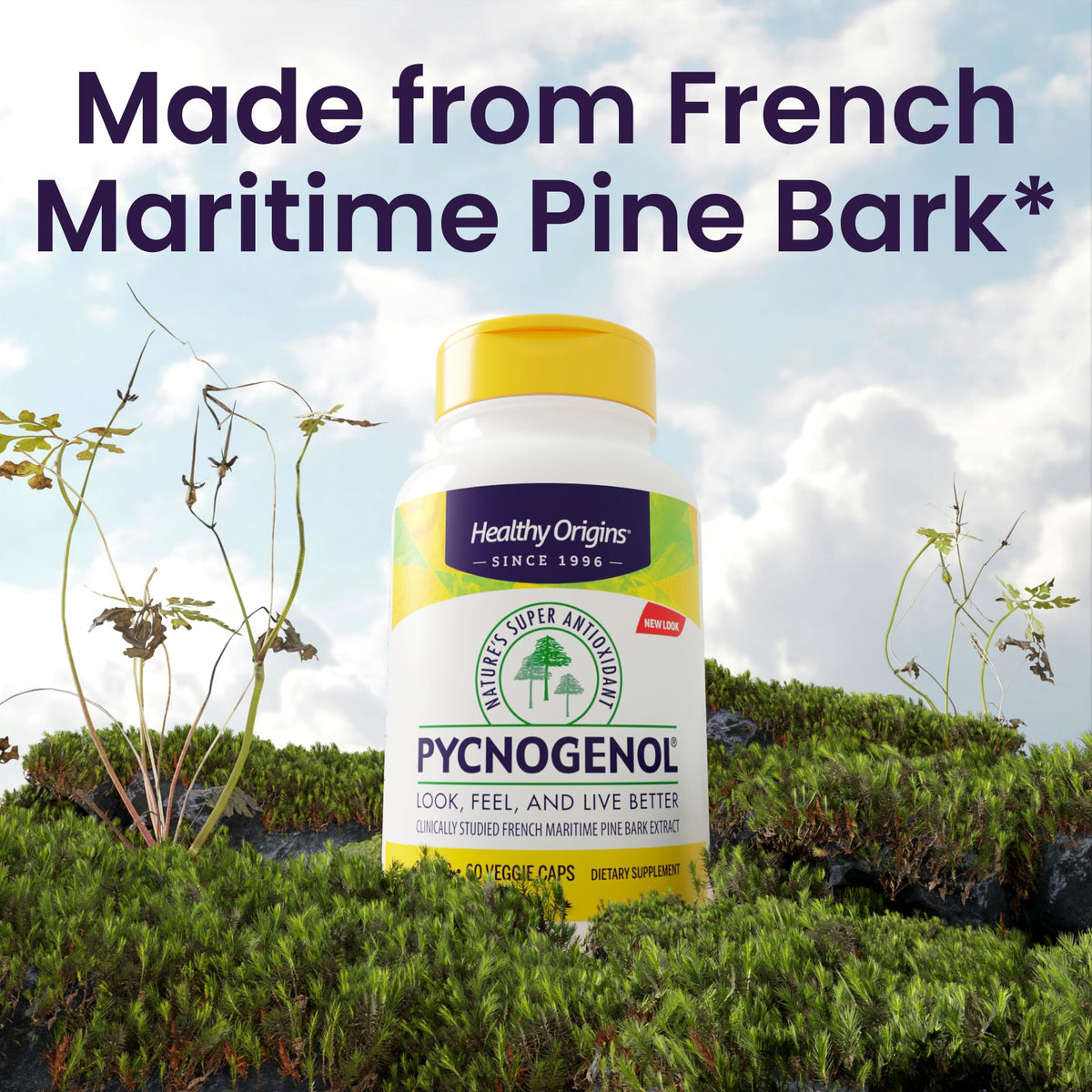 Healthy Origins Pycnogenol 100 mg, vue de côté du flacon