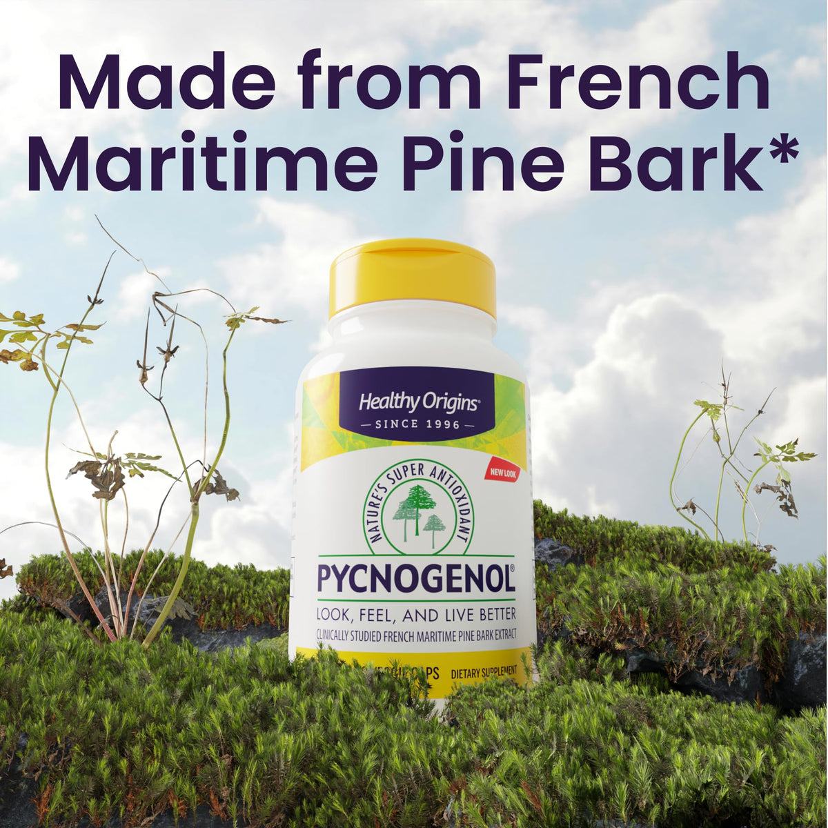 Healthy Origins Pycnogenol 150 mg gélules végétales avec étiquette visible
